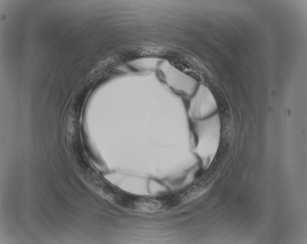 X0000080710215200701051017