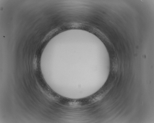 X0000080710216200701051017