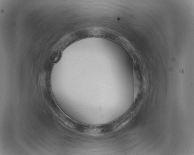 X0000080710217200701051017