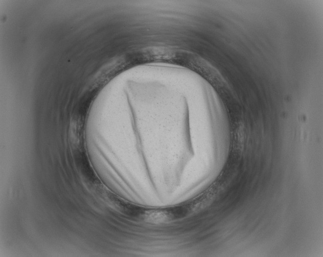 X0000080710218200701051017