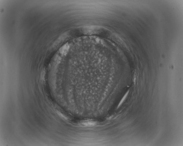 X0000080710219200701051017