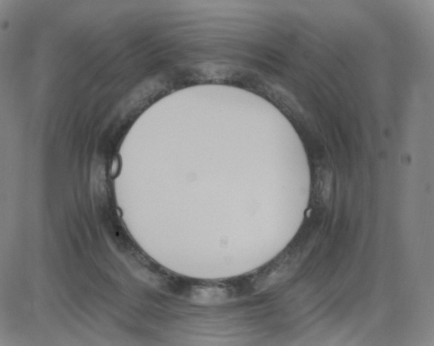 X0000080710220200701051017