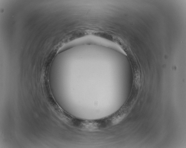 X0000080710221200701051017