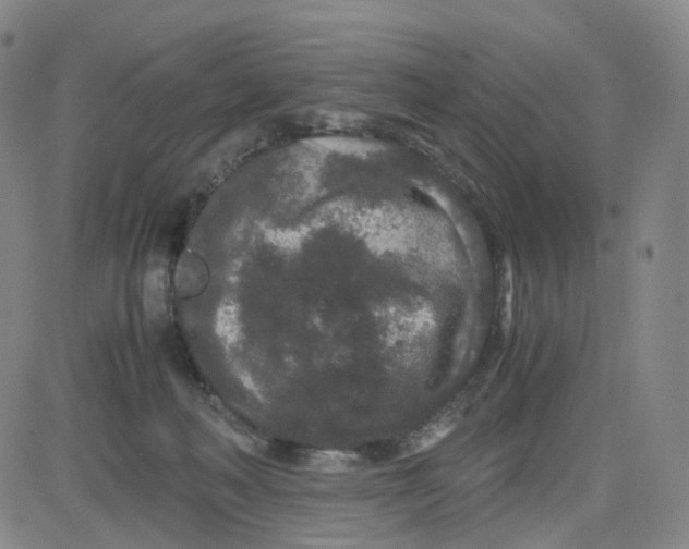 X0000080710222200701051017