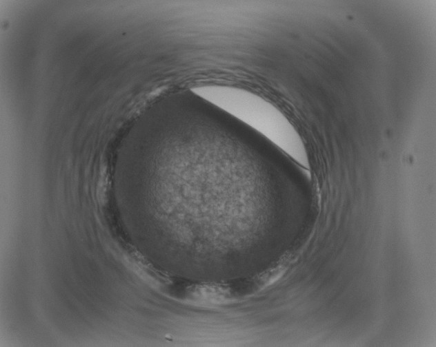 X0000080710223200701051017