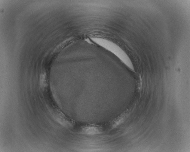 X0000080710224200701051017