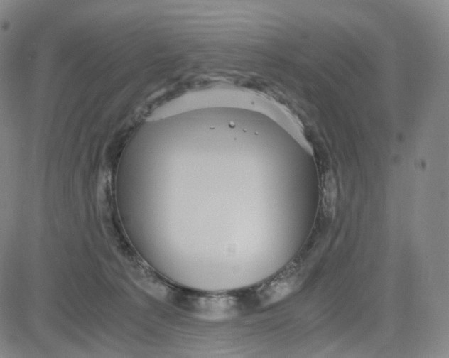 X0000080710225200701051017