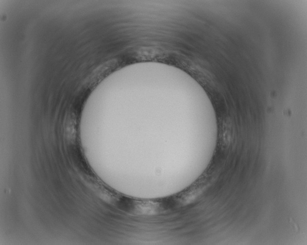 X0000080710226200701051017