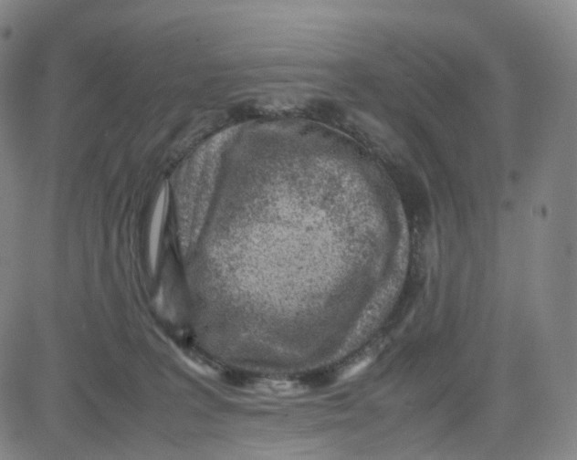 X0000080710227200701051017