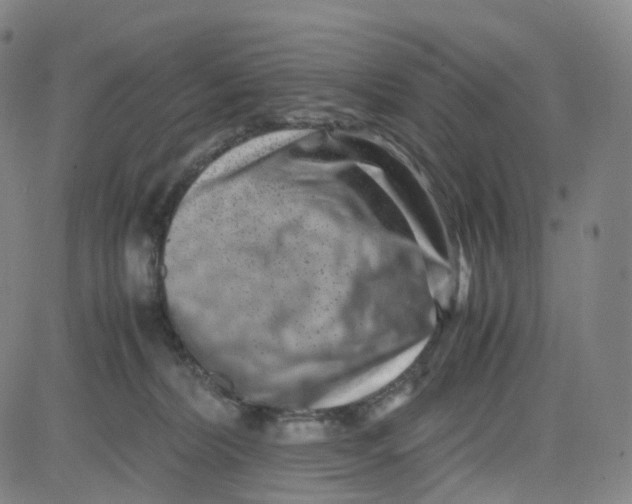 X0000080710228200701051017