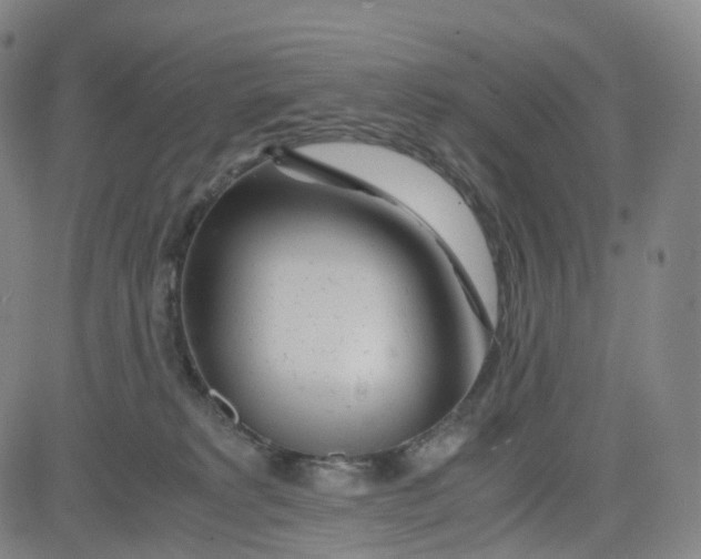 X0000080710229200701051017