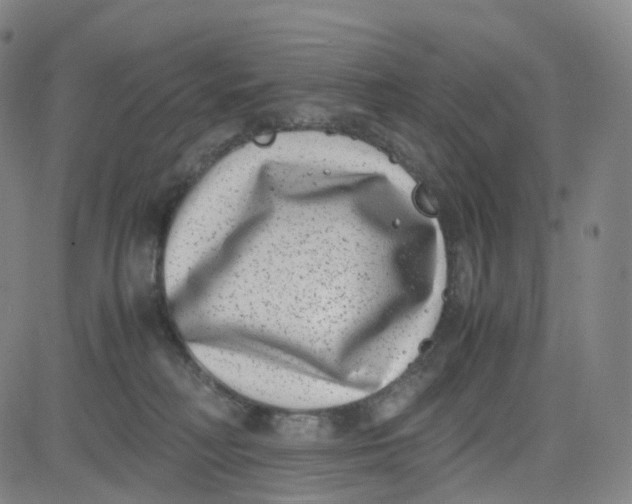 X0000080710230200701051017