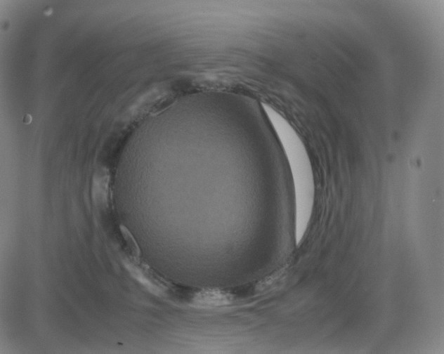 X0000080710231200701051017