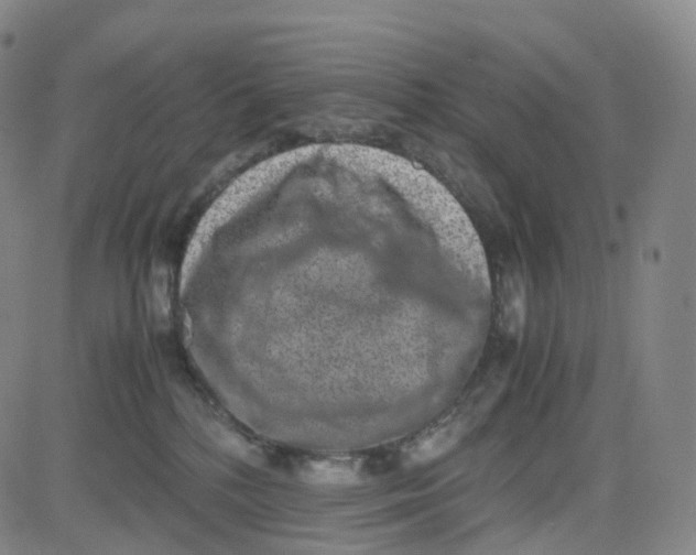 X0000080710232200701051017