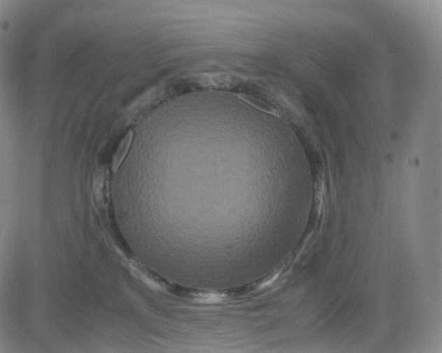 X0000080710233200701051017