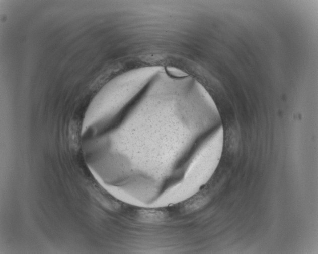 X0000080710234200701051017