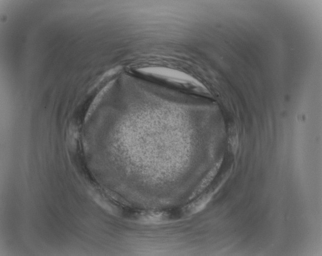 X0000080710235200701051017