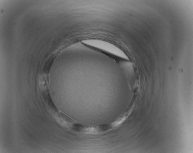 X0000080710237200701051017