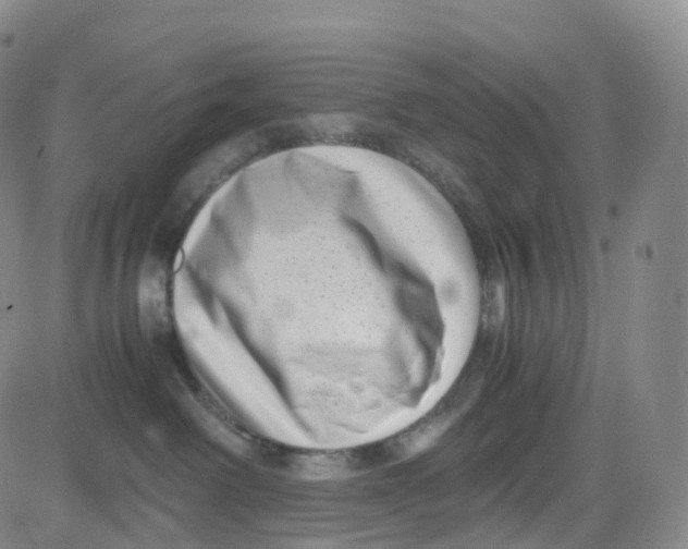 X0000080710238200701051017