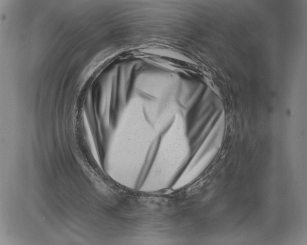 X0000080710242200701051016