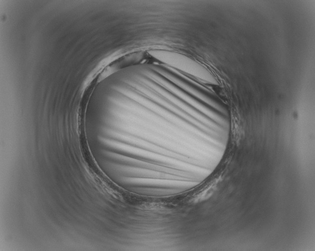 X0000080710244200701051016