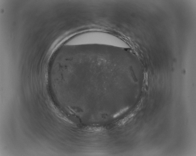 X0000080710247200701051016