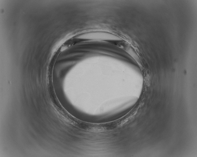 X0000080710248200701051016