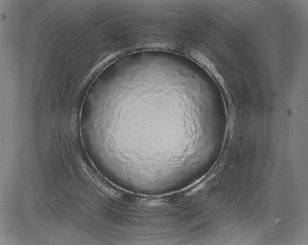 X0000080710249200701051016