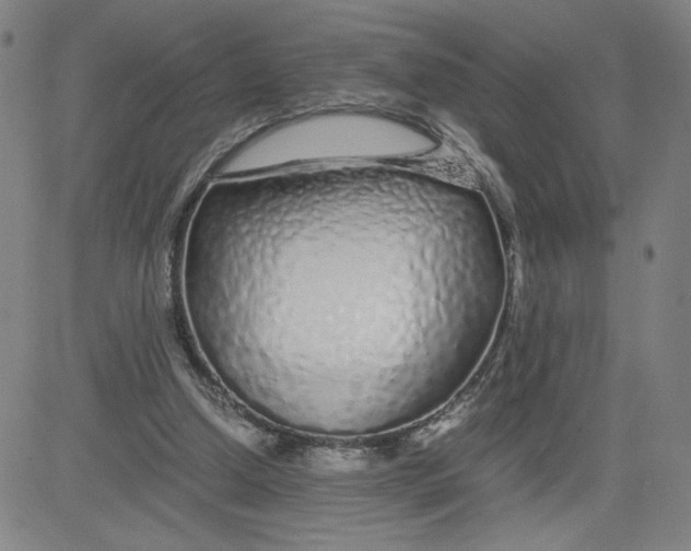 X0000080710250200701051016