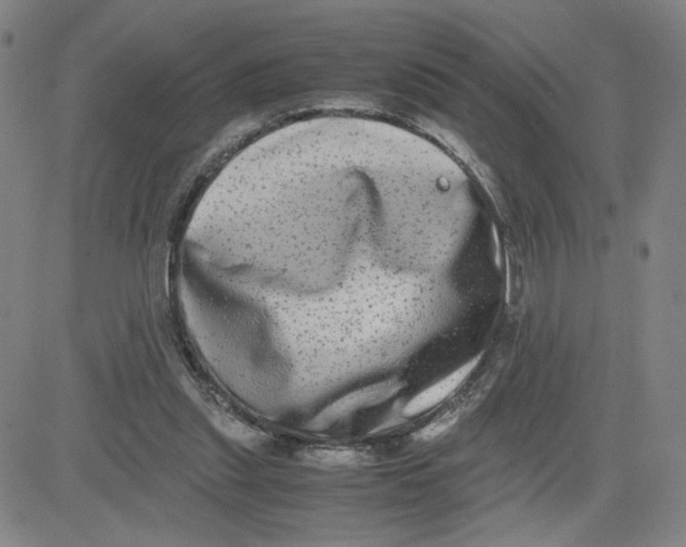 X0000080710253200701051016