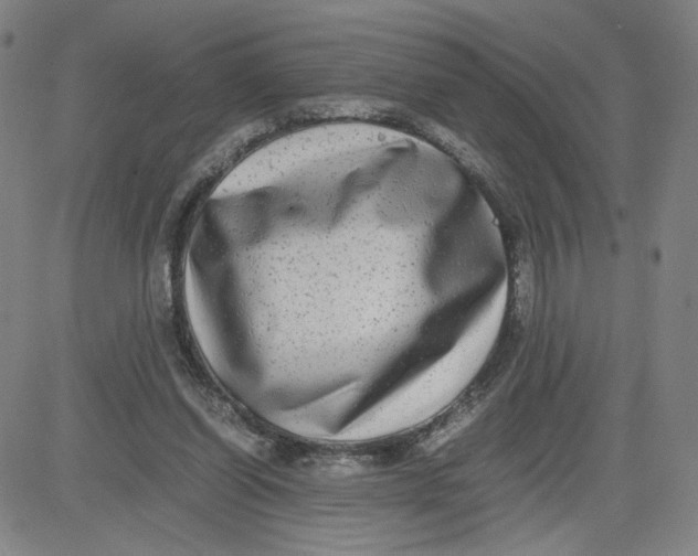 X0000080710254200701051016