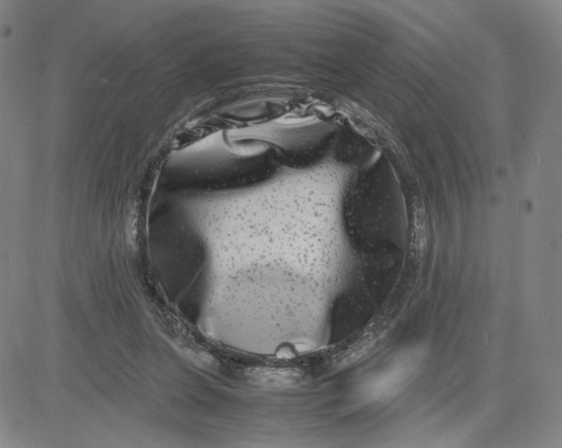 X0000080710255200701051016