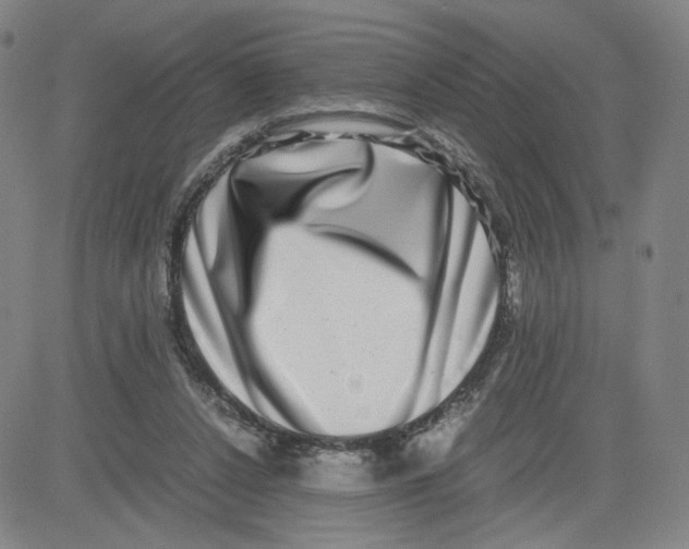 X0000080710256200701051016