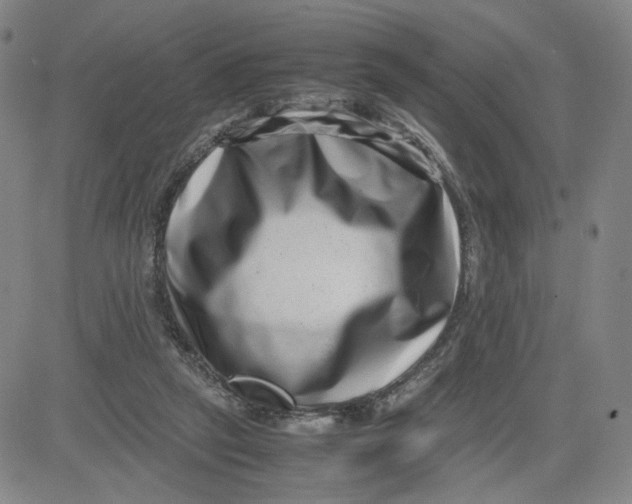 X0000080710257200701051016