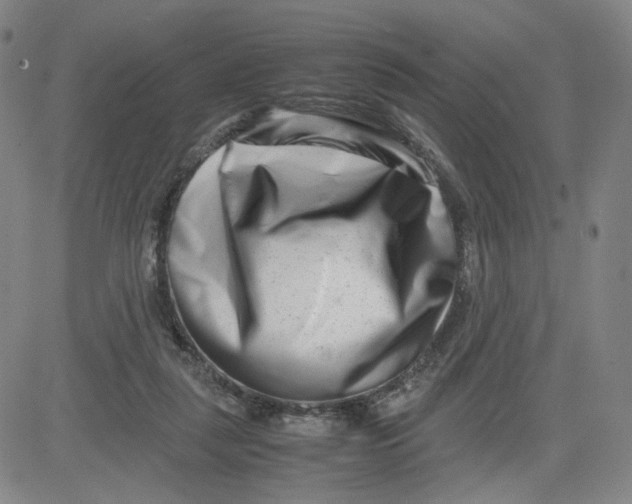 X0000080710259200701051016