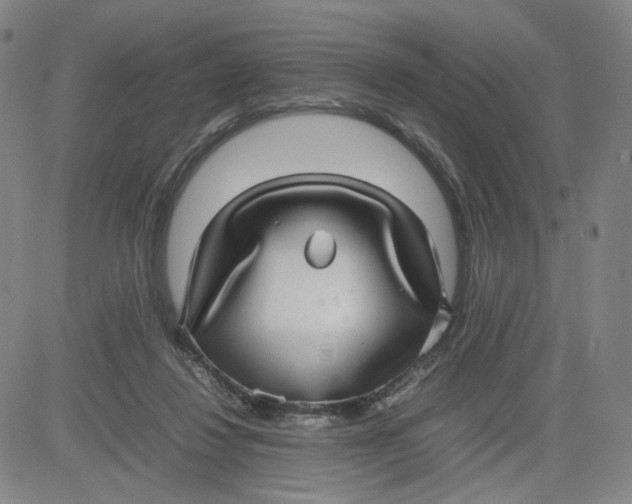 X0000080710260200701051016