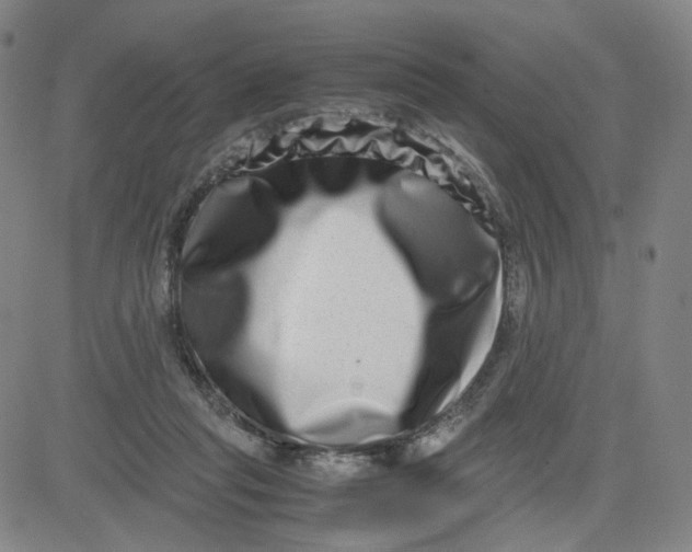 X0000080710261200701051016