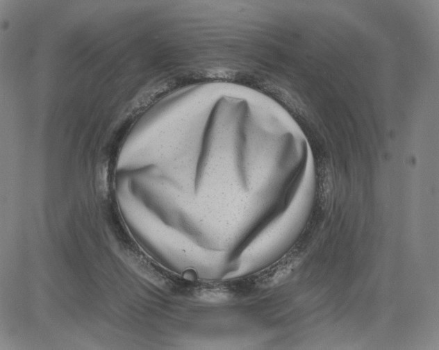 X0000080710262200701051017