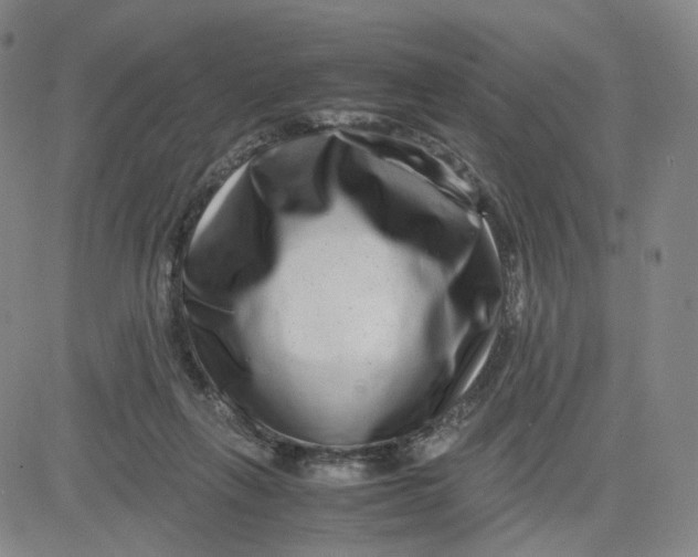 X0000080710263200701051017