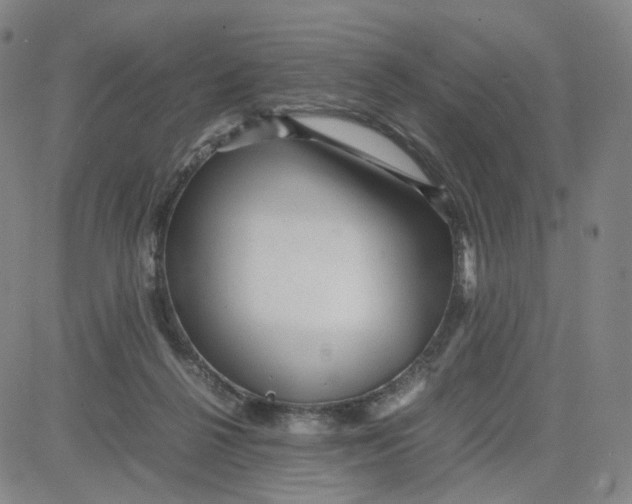 X0000080710264200701051017