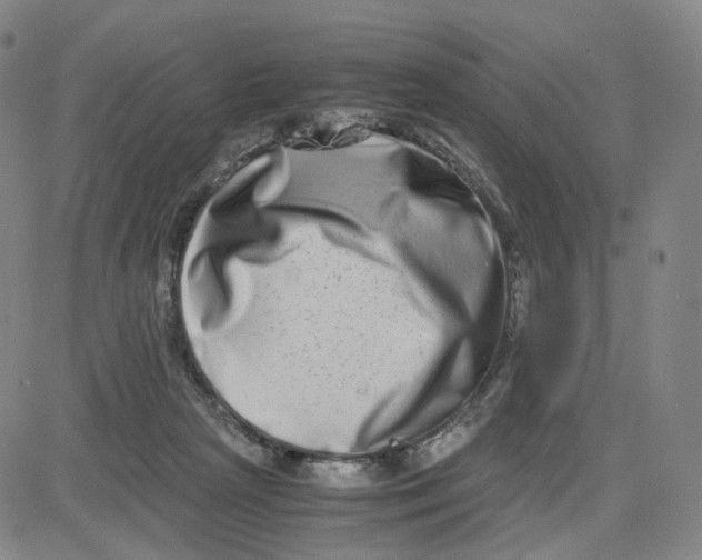 X0000080710265200701051017