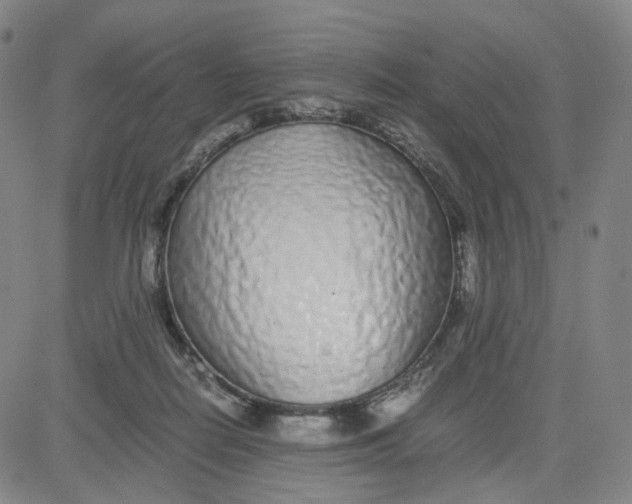 X0000080710266200701051017