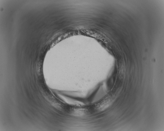 X0000080710268200701051017