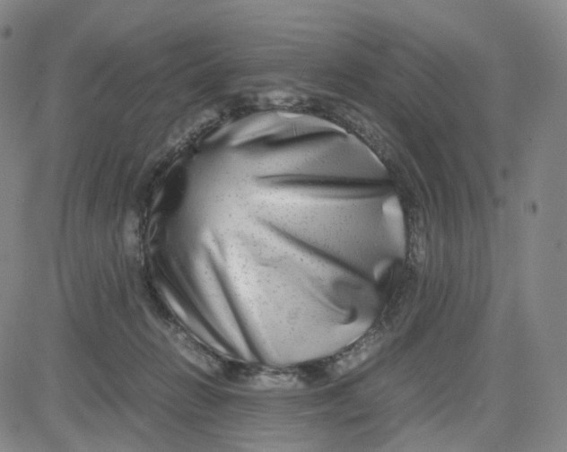 X0000080710270200701051017