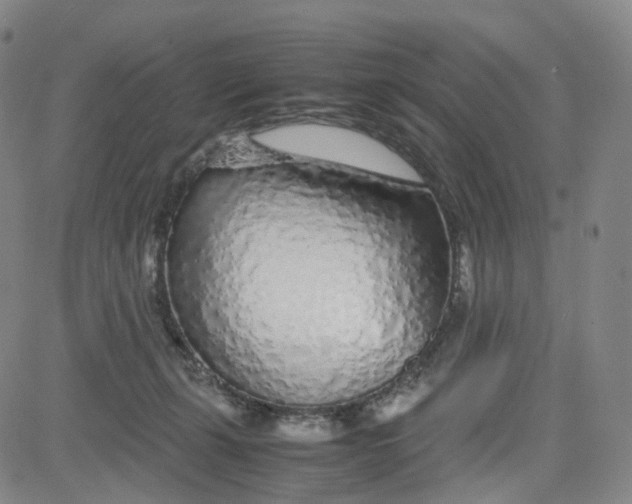 X0000080710271200701051017