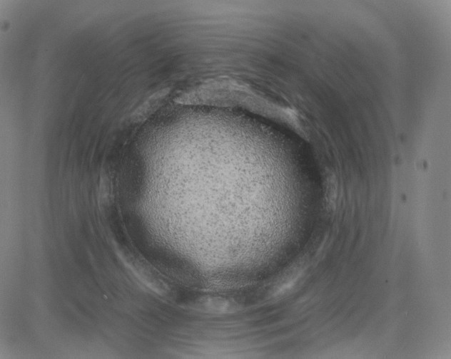 X0000080710272200701051017