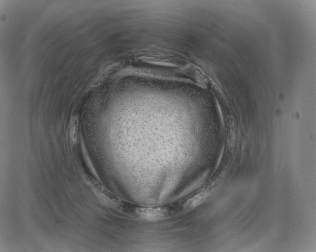 X0000080710273200701051017