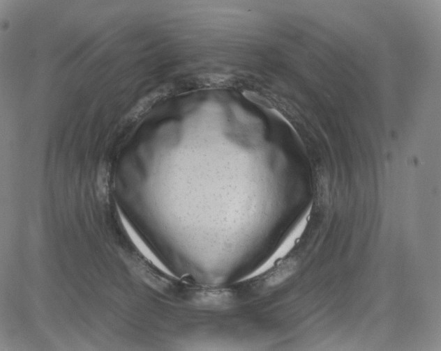 X0000080710274200701051017