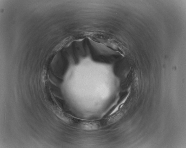 X0000080710275200701051017