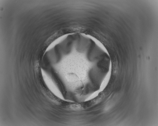 X0000080710279200701051017